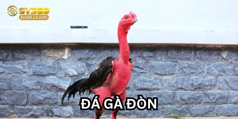 Đá Gà Đòn là gì?