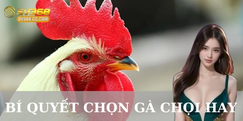 Kiểm tra kỹ năng chiến đấu – Đòn hiểm mới làm nên huyền thoại