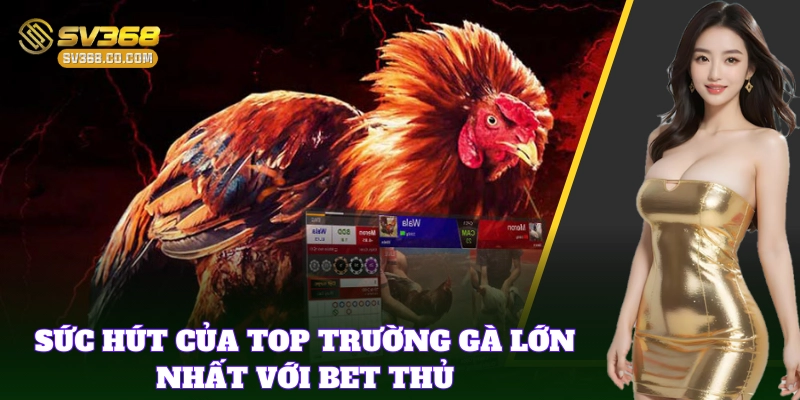Top Trường Gà Lớn Nhất thu hút cược thủ khắp nơi