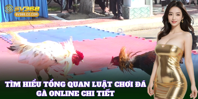 Tìm hiểu tổng quan Luật Chơi Đá Gà Online chi tiết