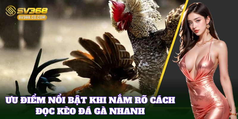 Nắm rõ Cách Đọc Kèo Đá Gà Nhanh giúp cược hiệu quả