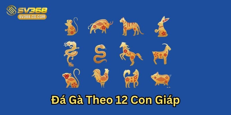 Xem Đá Gà Theo 12 Con Giáp – Kinh Nghiệm Từ Chuyên Gia