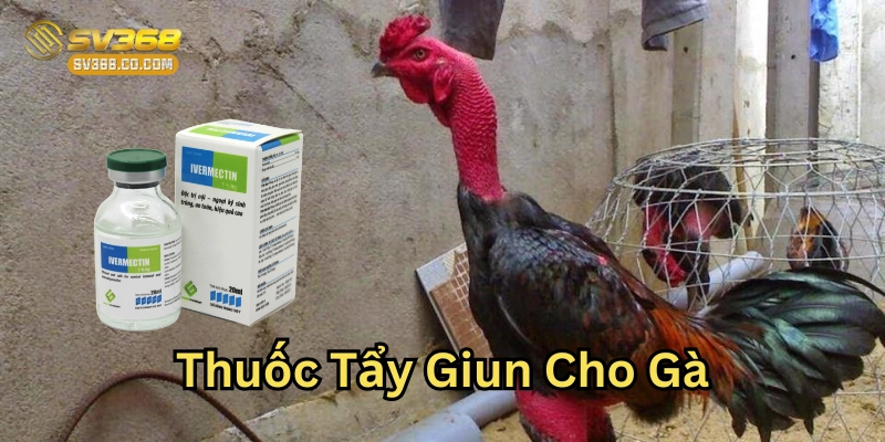 Thuốc Tẩy Giun Cho Gà là gì?
